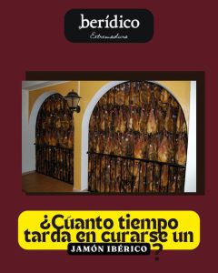 tiempo de curación jamón ibérico, tiempo curacion jamon iberico, jamon iberico 24 meses, tiempo de curación de un jamón ibérico de bellota, cuantos meses de curacion tiene un jamón ibérico, jamon iberico 36 meses, jamon iberico bellota 48 meses, jamon iberico tiempo de curacion, meses curacion jamon iberico, tiempo curacion jamon iberico bellota, tiempo curacion jamon iberico cebo, tiempo curación jamón ibérico, cuanto tiempo se cura el jamon iberico, meses de curacion jamon iberico, cuanto tiempo puede estar colgado un jamón ibérico,